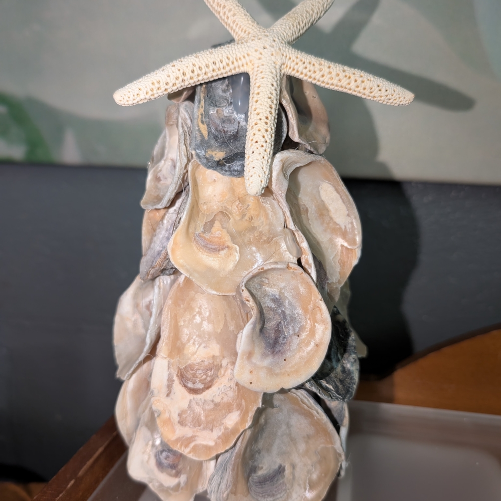 Seashell and Starfish Coastal Art Decor